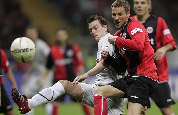 在今年夏天 在今年夏天